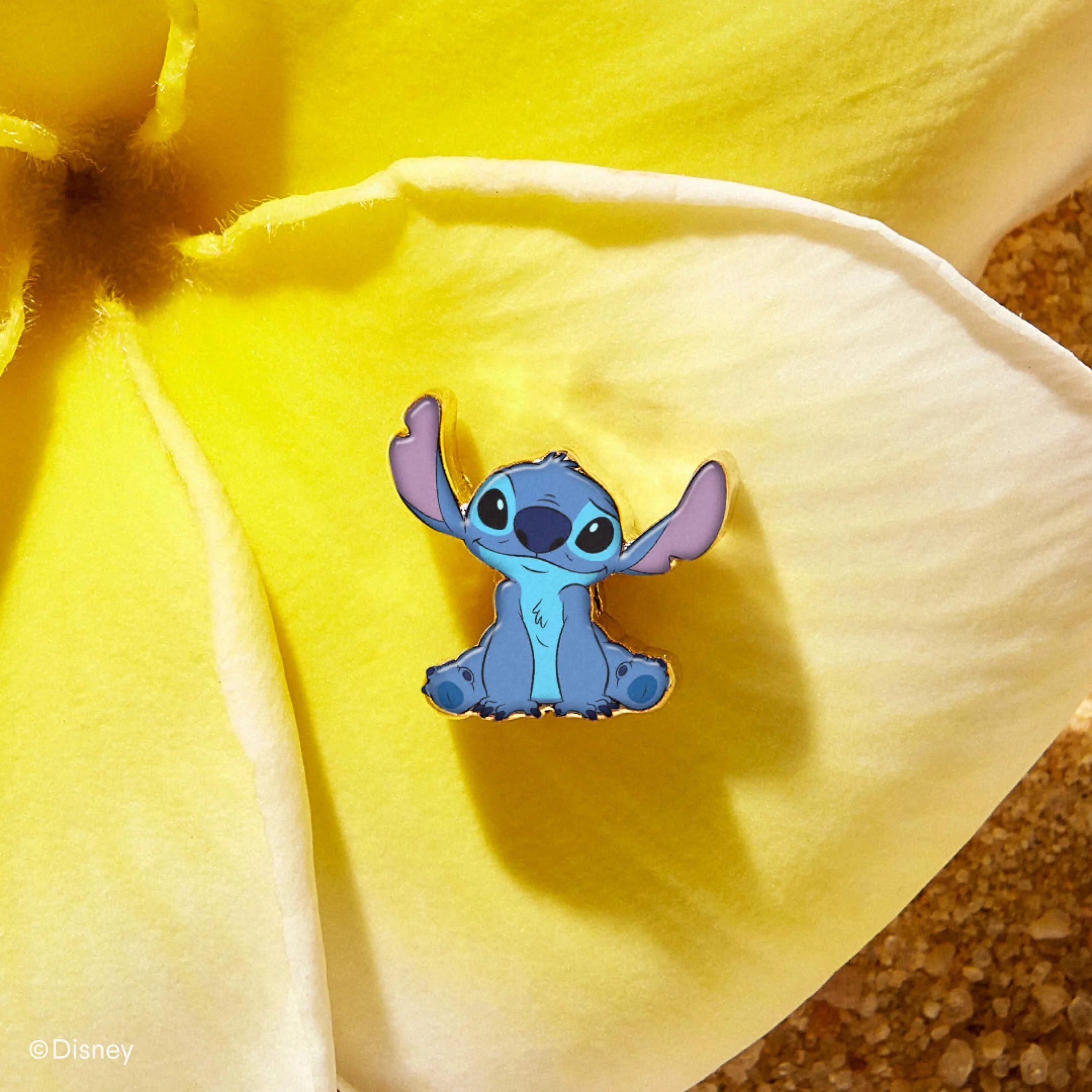 Ohana- Disney's Lilo & Stitch - Image 5